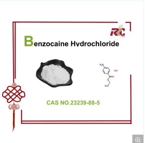 Hot Selling Pharmaceutical Chemical Intermediate Benzocaine HCl CAS 23239-88-5 with Excellent Qualit